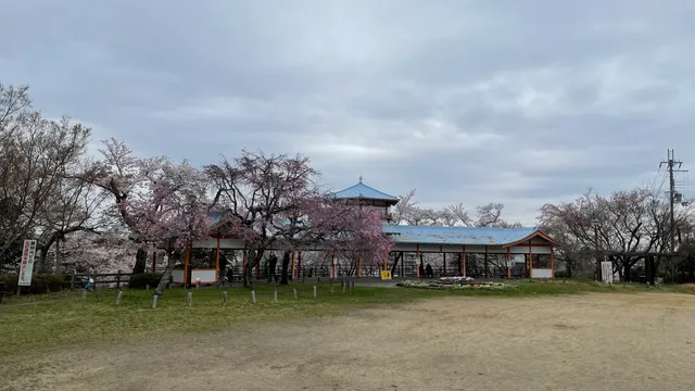 Nagano Park