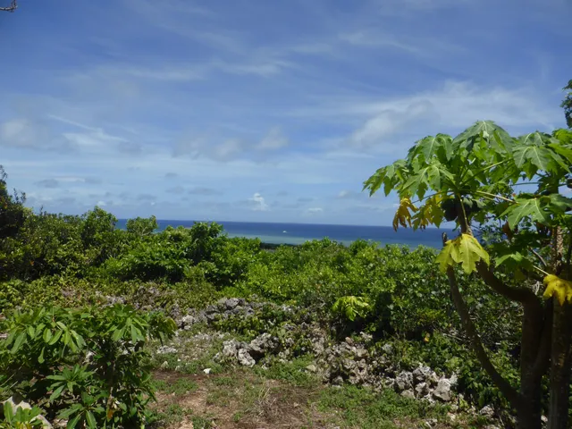 Site of Shimotabaru Castle