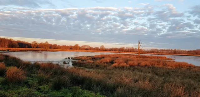 Boerenveensche Plassen