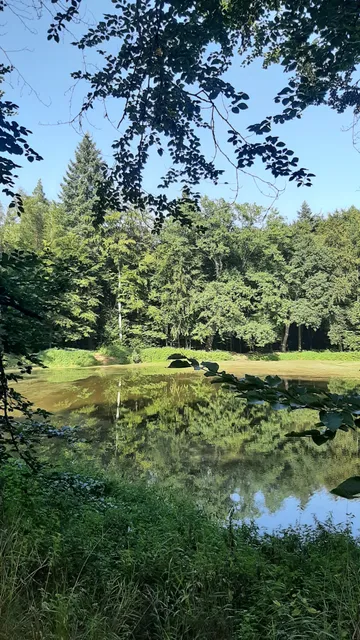 Castle Park Rauischholzhausen