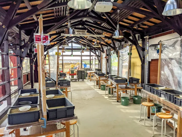 Fossil and Nature Experience Center