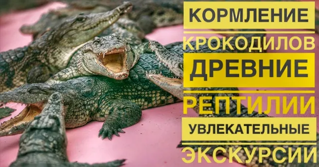 Krokodilovaya Ferma