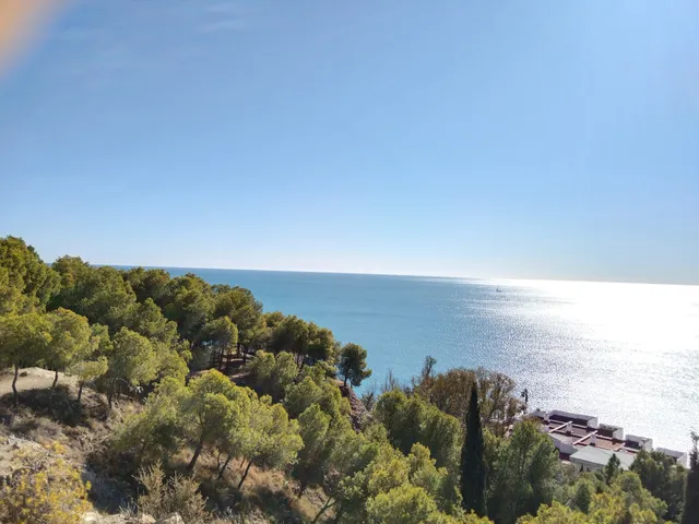 Parque Forestal El Morlaco