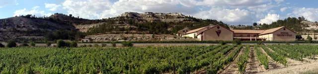 Bodegas Valdeviñas