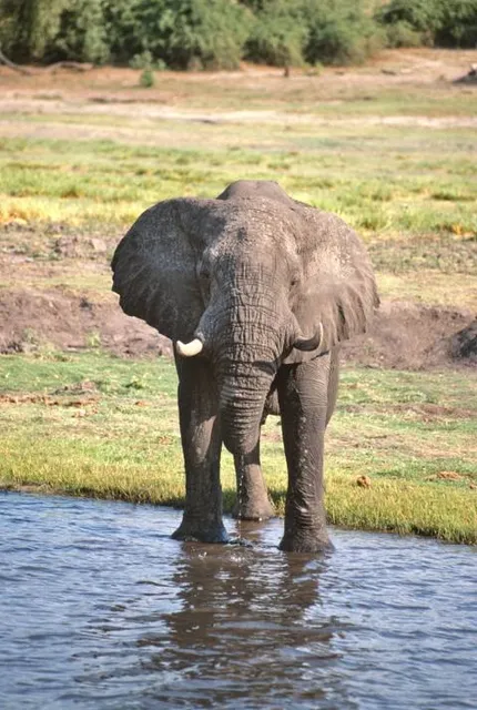 San Juan Islands Sculpture Park & Nature Reserve