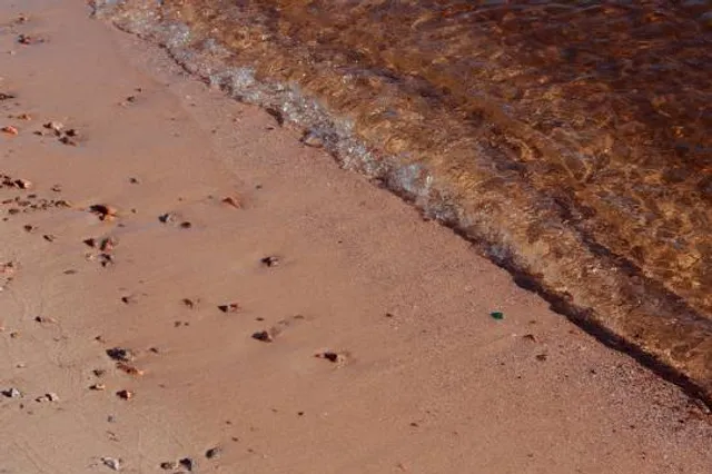 plaża Łazienki Powidz