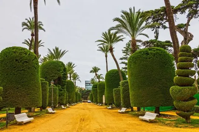 Cadiz City Park