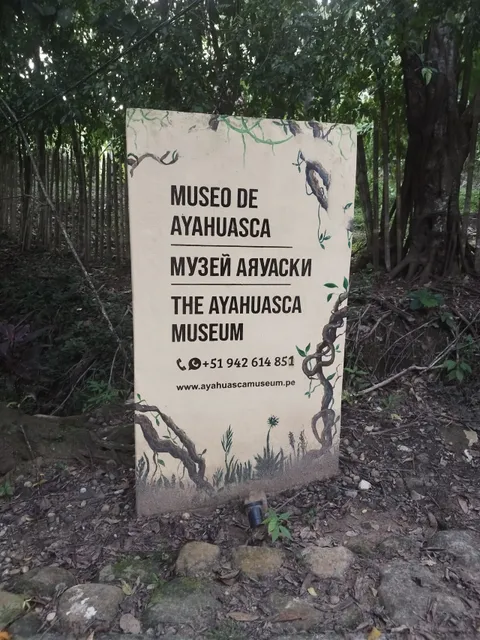Ayahuasca Museum