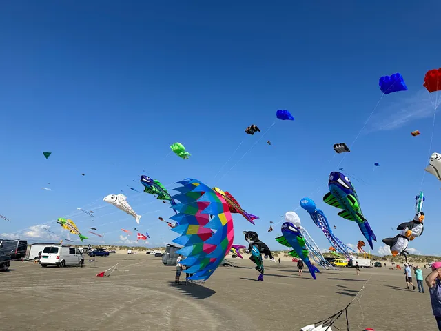 Rømø Dragefestival