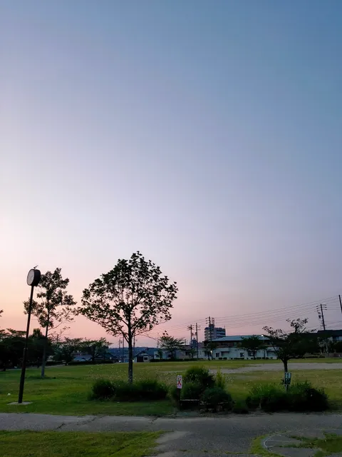 photo-1