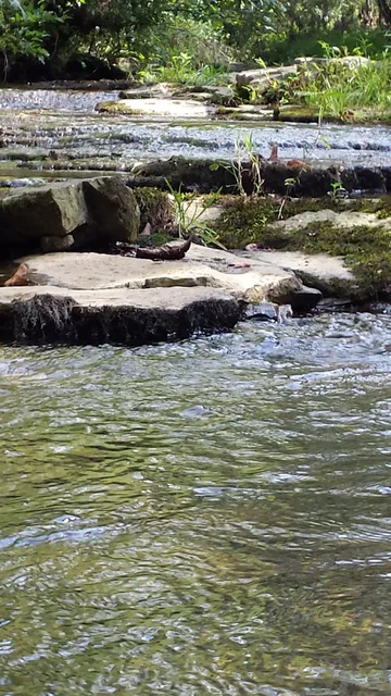 Searcy County Civic Center