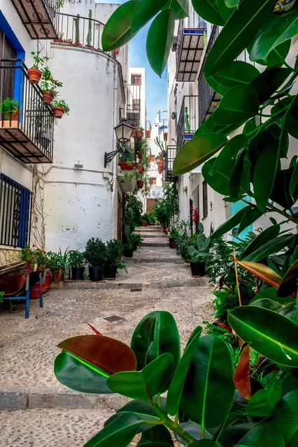 Magic Museum. Yunke.