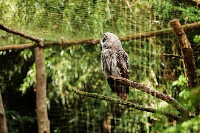 Utah's Hogle Zoo