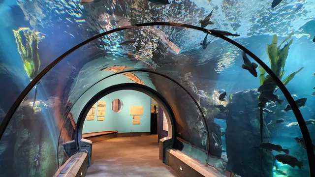 Oregon Coast Aquarium