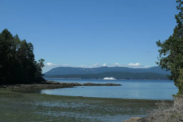 Pender Islands Museum