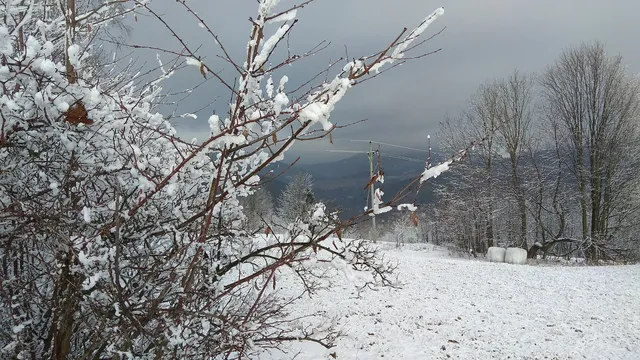 photo-2