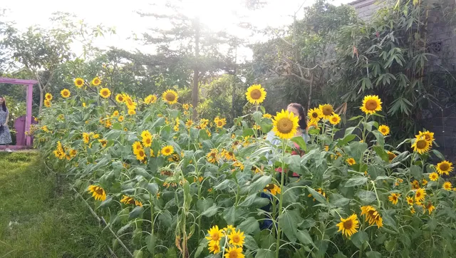 Narmada Botanic Garden