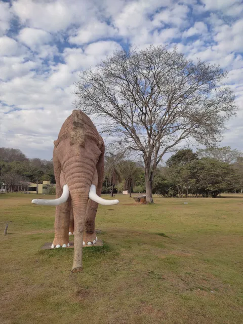 Archaeological Museum of the High Caste San Francisco (MAC)