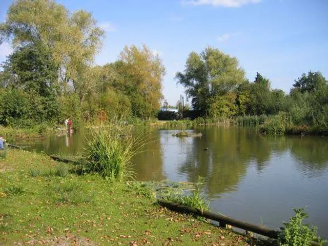 King's Pond