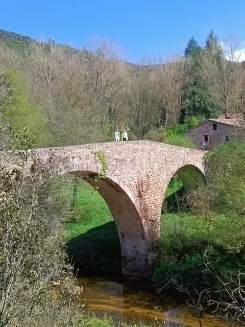 Puente de Malafogassa