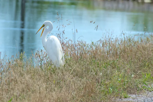 Mermet Lake State Conservation Area