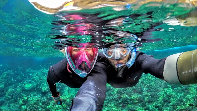 Auntie Snorkel Beach Rentals and Activities