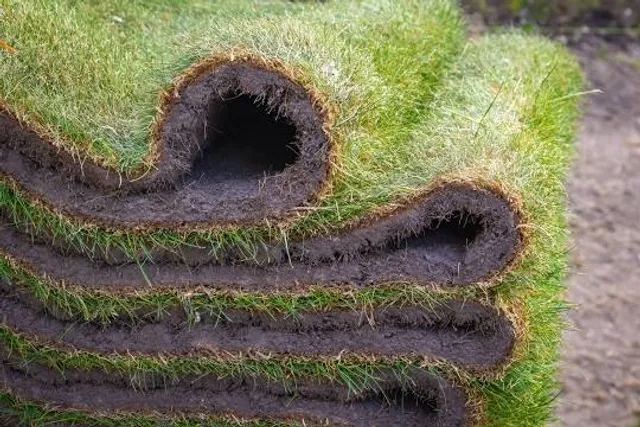 Balneario El Trapiche