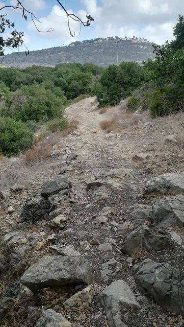 photo-1