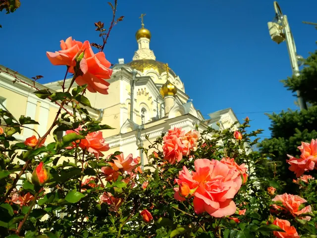 photo-2