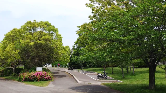Kasai Park
