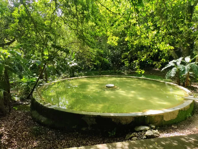 Alberca Reserva Cerro Hueco