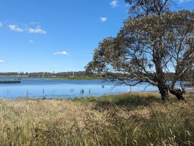 Little Llangothlin Nature Reserve
