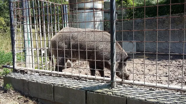 La Rupe Sas di Locatelli Roberto Sas