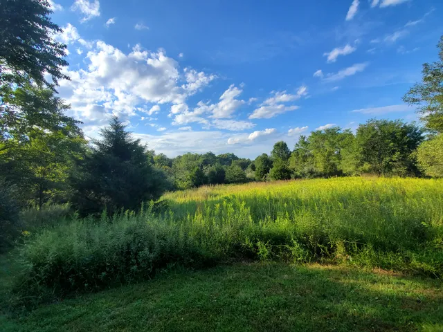 Cool Spring Preserve