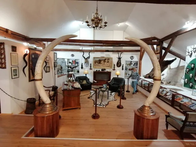 Esterházy Palota Erdészeti Múzeum-Soproni Egyetem