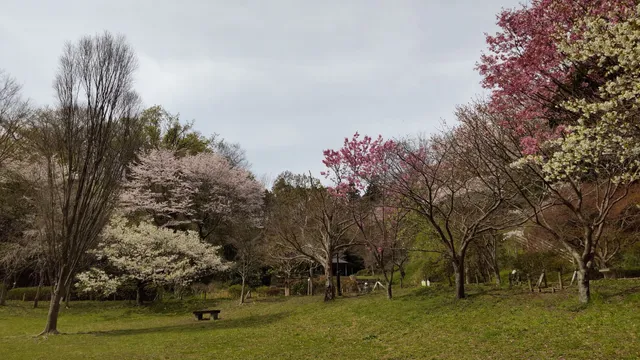 Kamakura Central Park