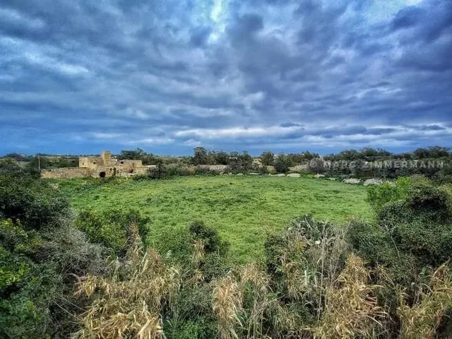 photo-1