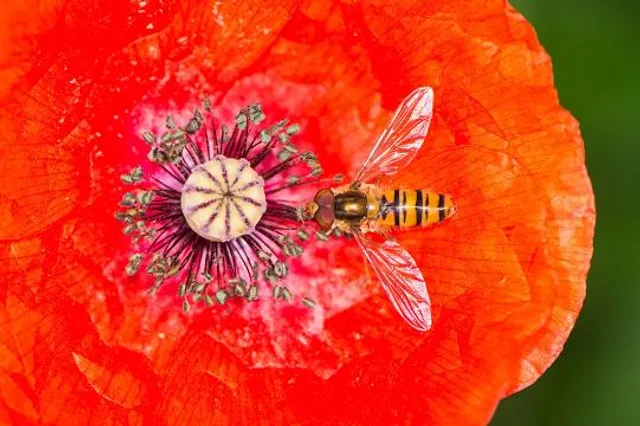 Quorn Silo Light Show