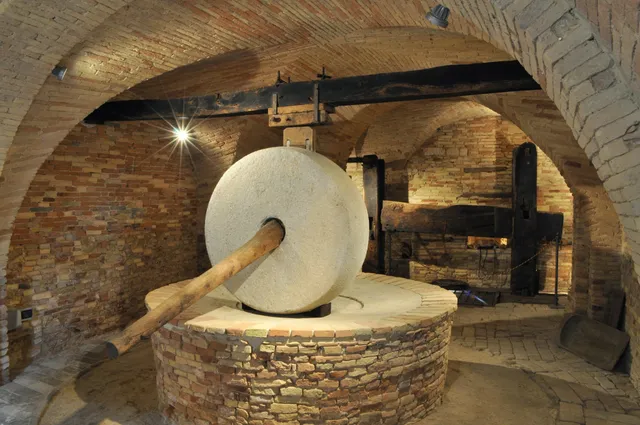 Museo dell'Olio - CantinArte