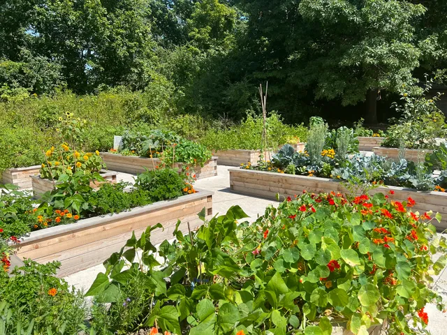 High Park Children’s Garden & Teaching Kitchen