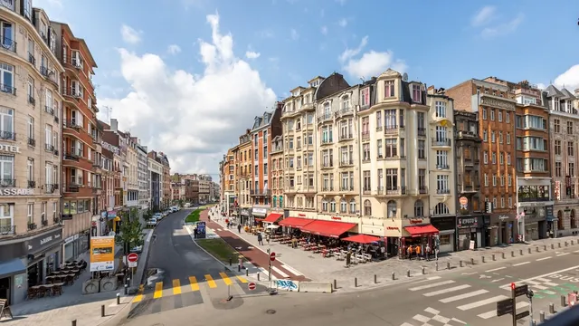 Le Chat Qui Dort - Lille Gare
