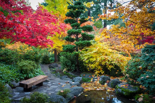 Japanese Garden