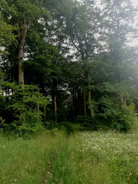 photo-2