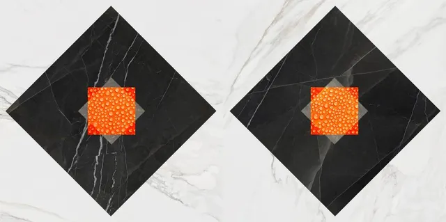 La Clé des Songes - Spectacle nocturne