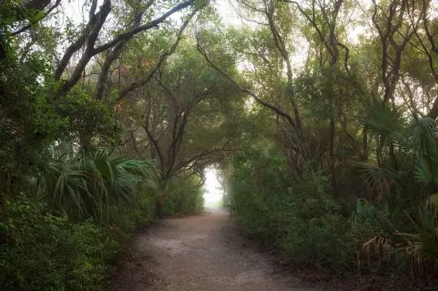 Ponce Preserve
