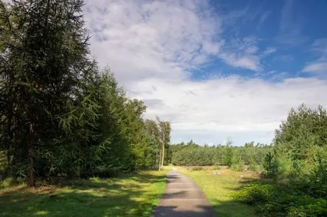 Forest and carparks closed from sunset till sunrise.