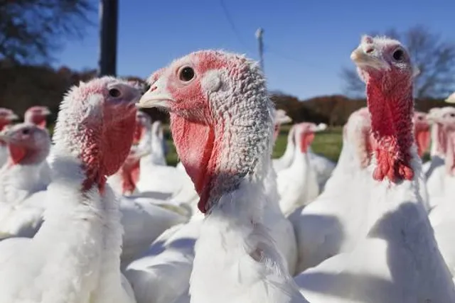 Veterans Memorial Park
