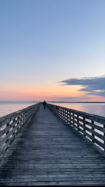 Swanquarter National Wildlife Refuge - Main Unit