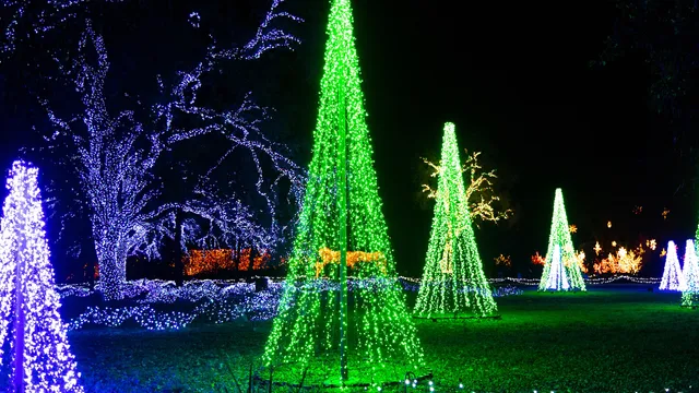 Redding Garden of Lights