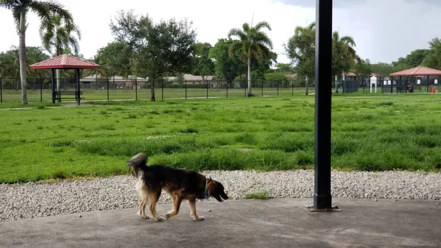 Gary B Jones Park for People and Pups